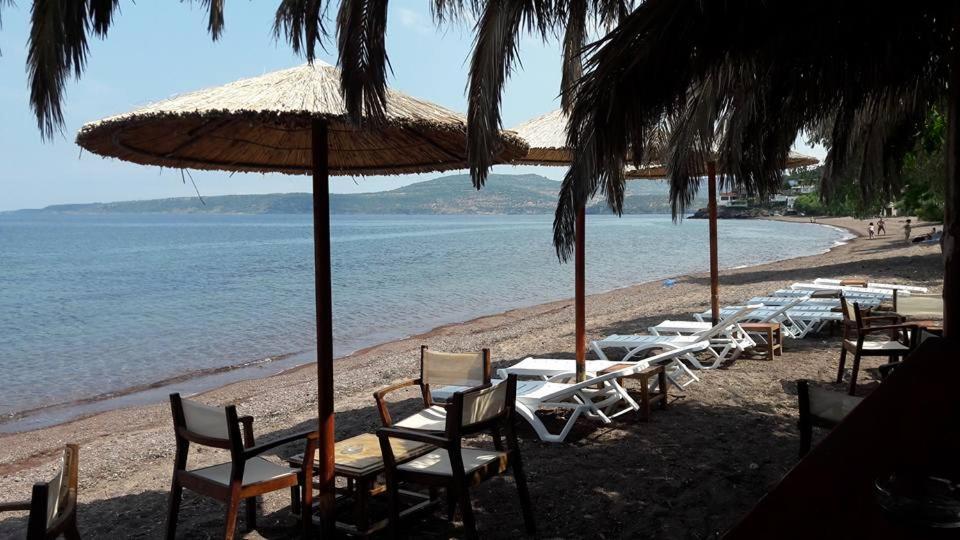Armonia Houses Tsonia المظهر الخارجي الصورة